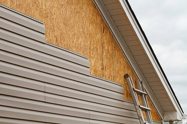 Professional Siding Inspection technician working in Plano, TX